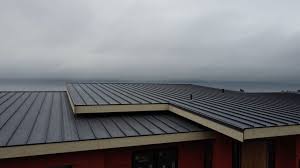 Best Rubber Roofing (EPDM, TPO)  in Chula Vista, TX